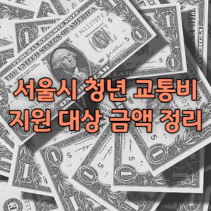 서울시 청년 교통비 지원