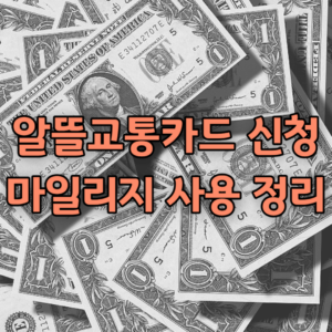 알뜰교통카드