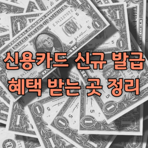 신용카드 신규 발급