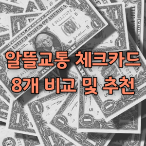 알뜰교통카드 체크카드