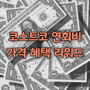 코스트코 연회비