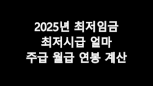 2025년 최저임금 최저시급