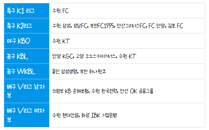 기회경기관람권