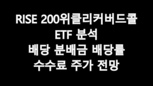 RISE 200위클리커버드콜