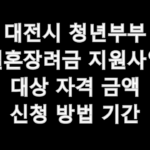 대전시 청년부부 결혼장려금 지원사업