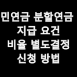 국민연금 분할연금