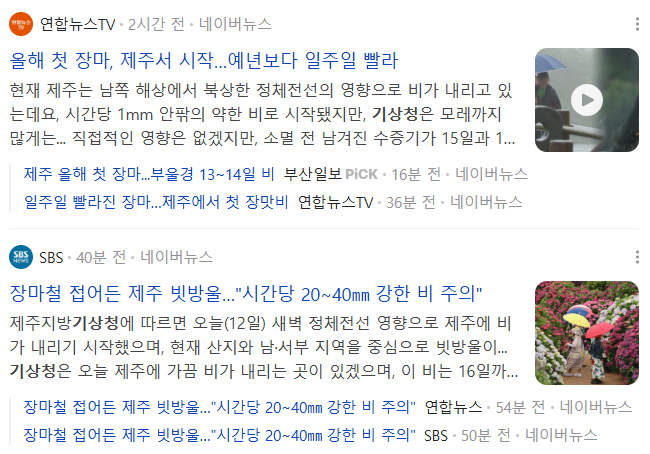 2025년 장마