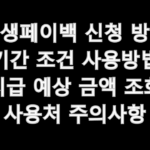 상생페이백