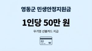 영동군 민생안정지원금 신청 방법 기간 지원금액 주의사항 총정리