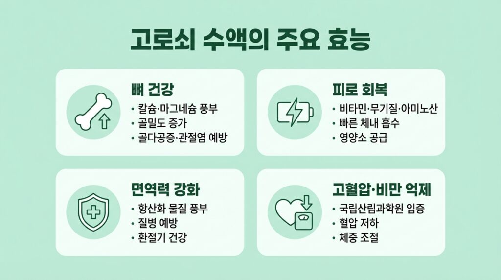 고로쇠 효능