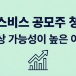 액스비스 공모주