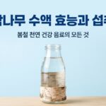 자작나무수액효능