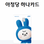 아정당 하나카드