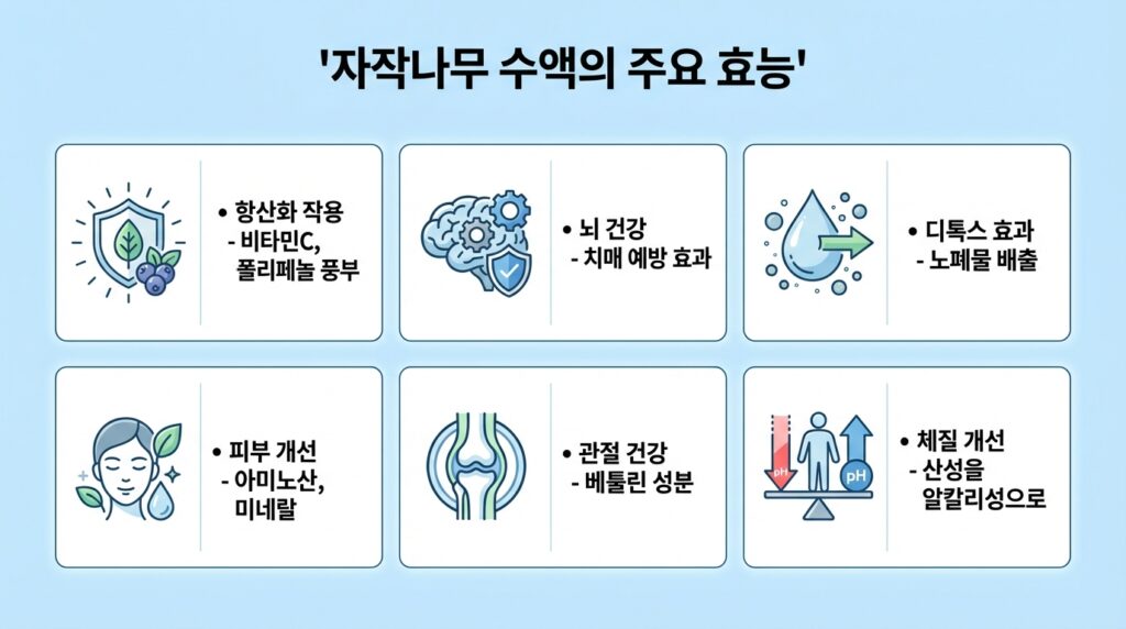자작나무수액효능