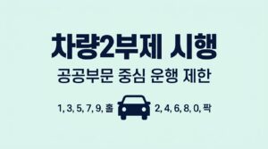 차량2부제
