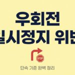 우회전 단속 기준 일시정지 방법