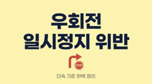 우회전 단속 기준 일시정지 방법