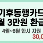 기후동행카드 월 3만원 환급
