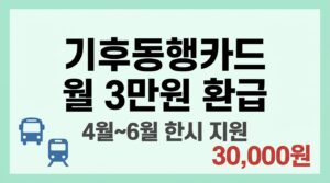 기후동행카드 월 3만원 환급